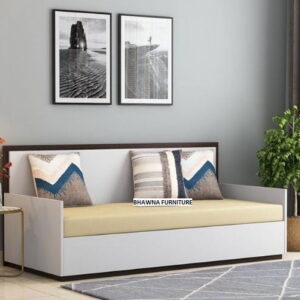 Sofa Cum Bed With Storage in Designer
