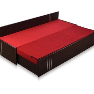 Sofa-Cum-bed With Storage